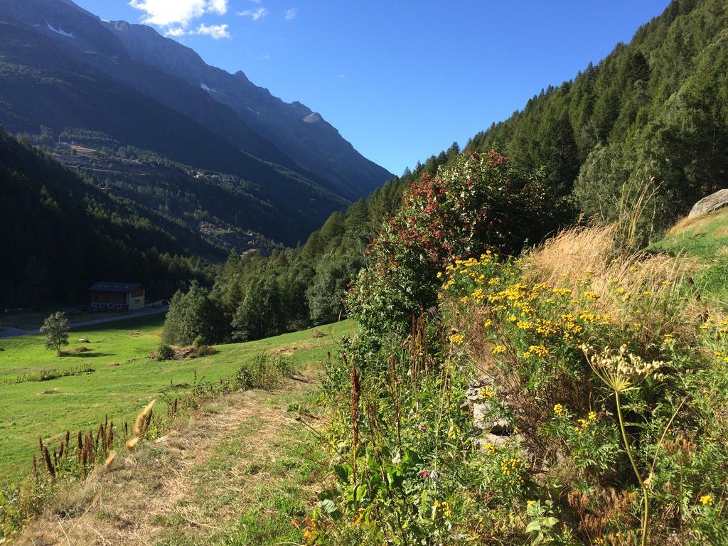 Chalet Sunstar Saas-Grund Exterior foto
